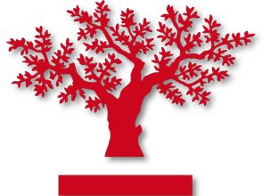 Isntituto Empresa Familiar