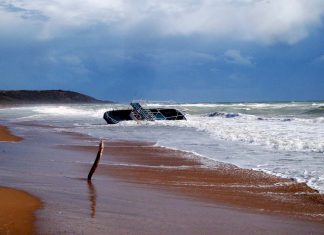 Study Finds that Green Spaces Make Kids Smarter